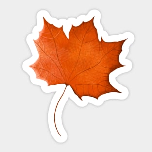 Autumn maple leaf red orange Sticker